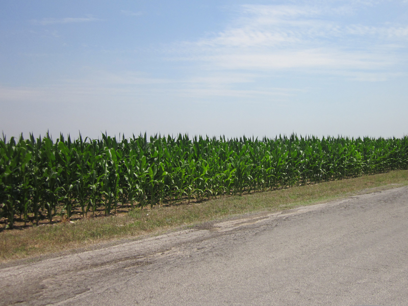 A farm in Castroville, Texas