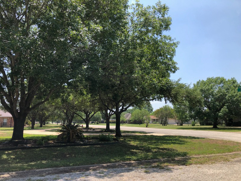 Home in Castroville, TX