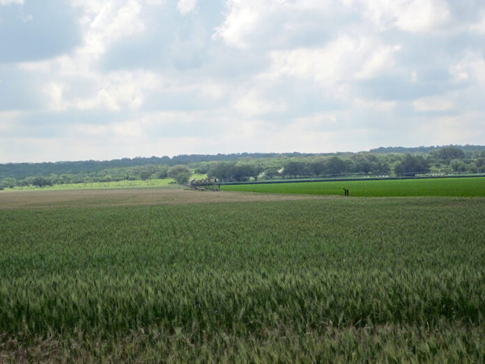 Farm land in the San Antonio Metro Area