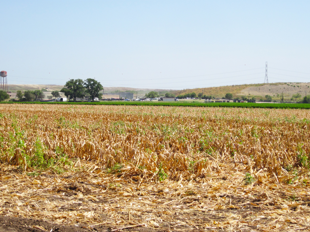 Farming in the San Antonio Metro Area