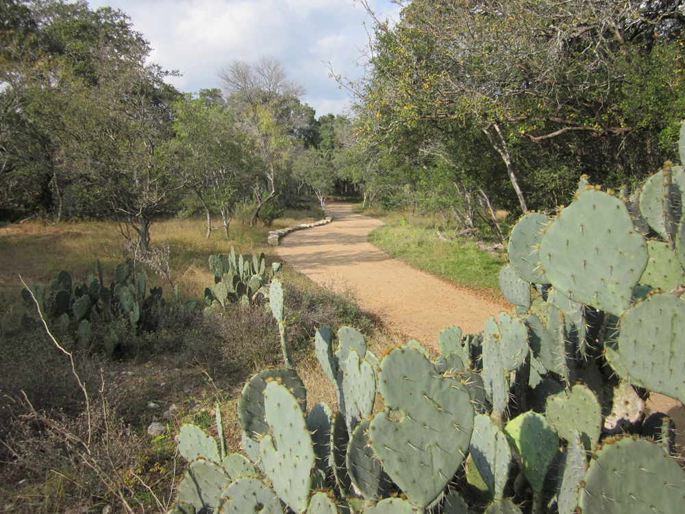 Phil Hardberger Park