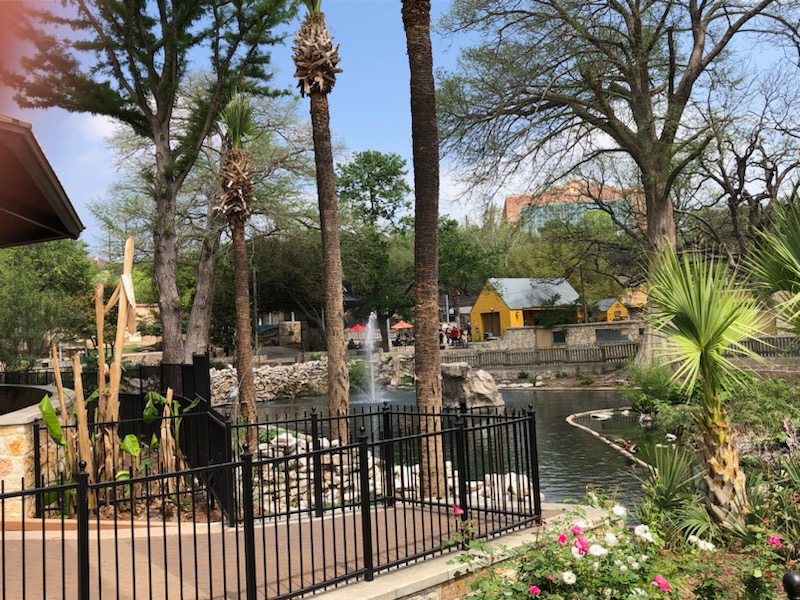 A water fountain at the San Antonio Zoo