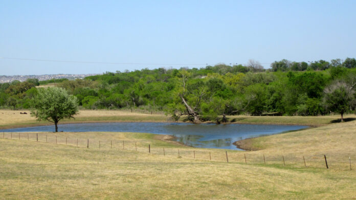 St. Hedwig, Texas