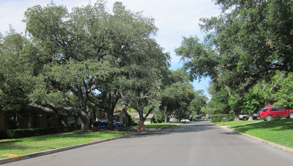 Windcrest TX in the San Antonio Area